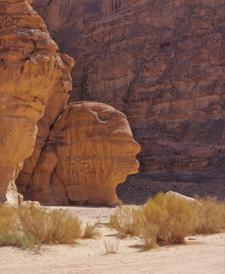 Hotel Amanda Luxury Camp à Wadi Rum Extérieur photo